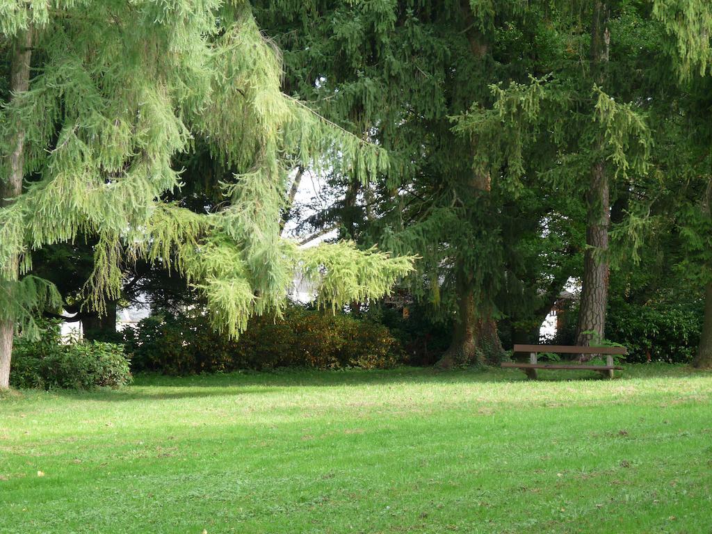 Parkhotel Bad Hall Exterior photo